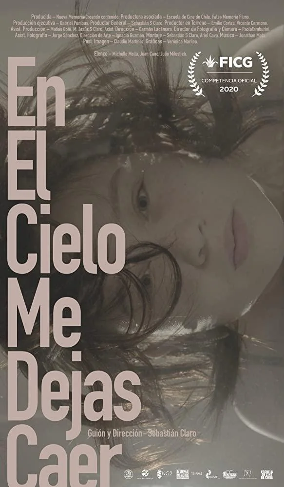en_el_cielo_me_dejas_caer-242443157-large.webp